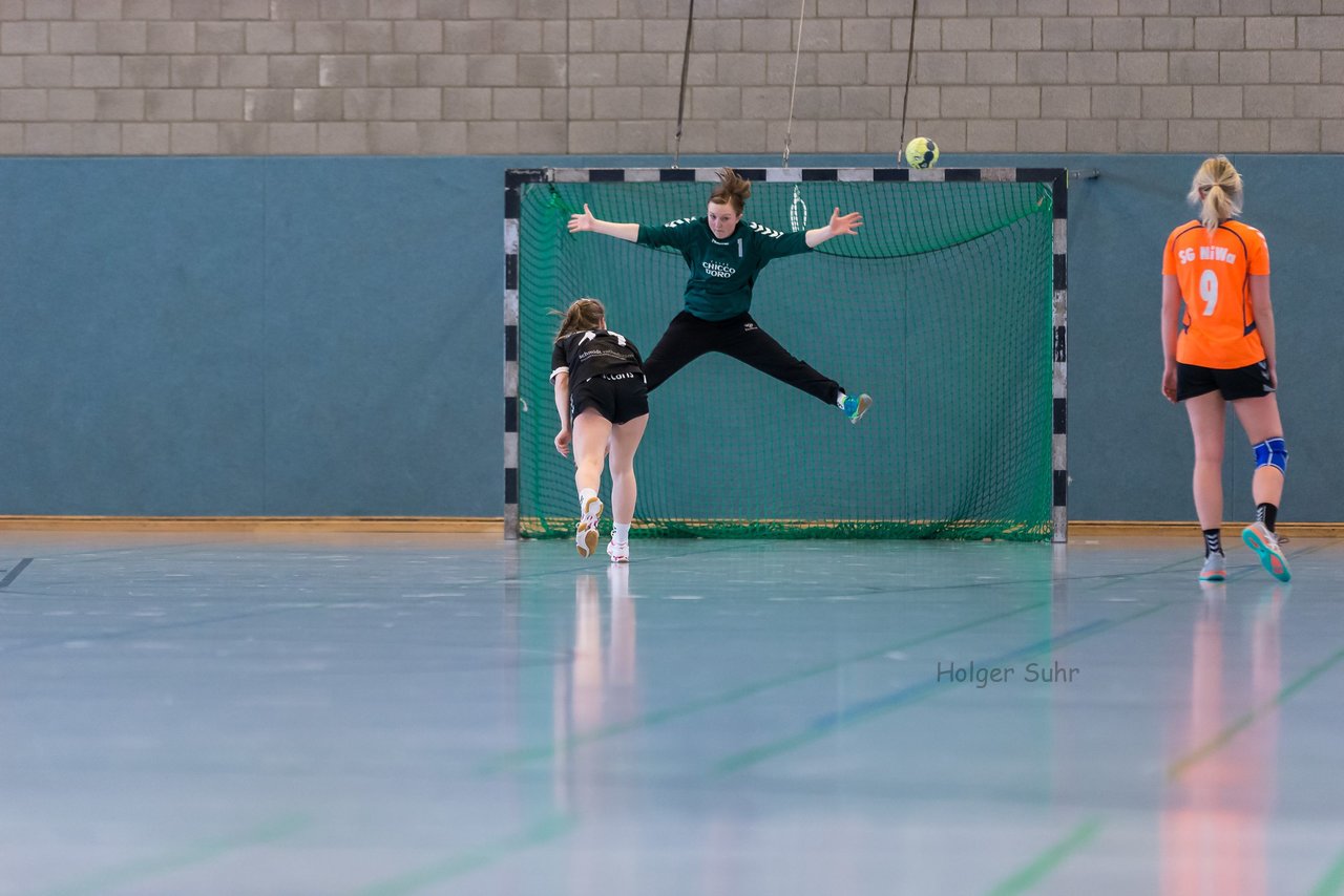 Bild 253 - Frauen OL TuS Esingen - SG Niendorf/Wandsetal : Ergebnis: 24:17